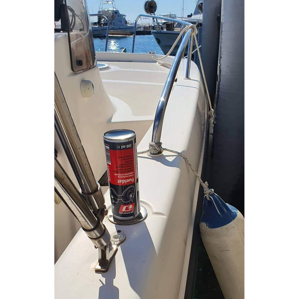 Datacol Fuel System Cleaner 300 ml